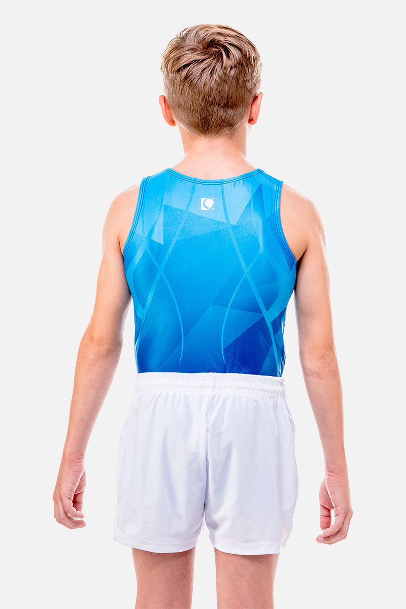 Apollo Royal Blue Mens Leotard