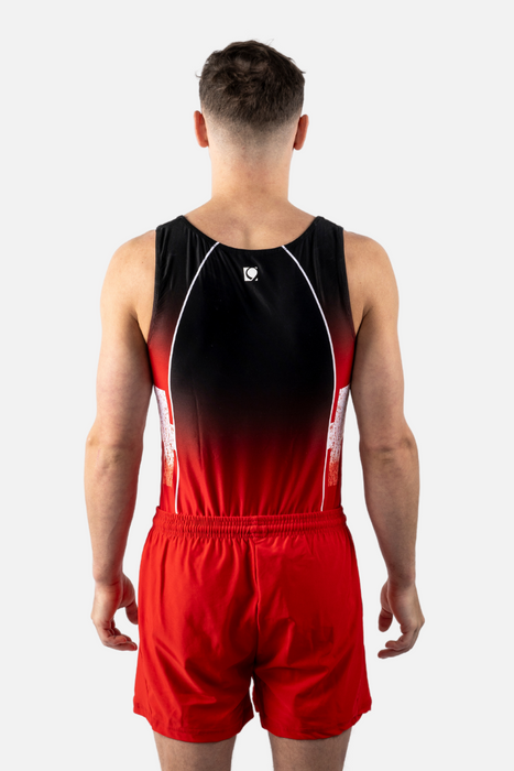 Swiss Replica Men's Leotard